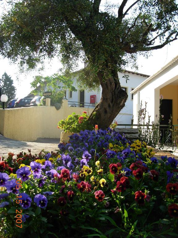 Marilena Hotel Ypsos Exterior photo